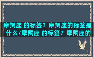 摩羯座 的标签？摩羯座的标签是什么/摩羯座 的标签？摩羯座的标签是什么-我的网站